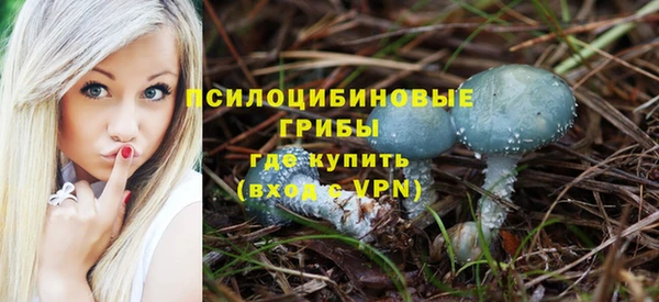 ECSTASY Саяногорск