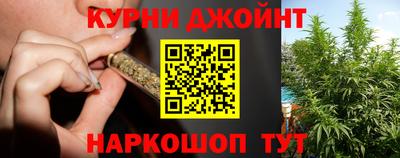 шишки Балашиха