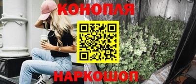 шишки Балашиха