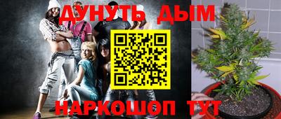 шишки Балашиха