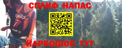 шишки Балашиха