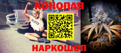 шишки Балашиха