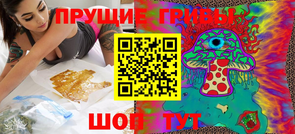 Псилоцибиновые грибы прущие грибы Елец