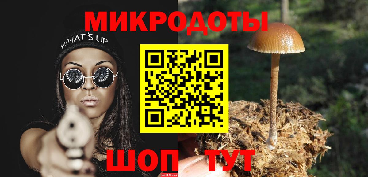 Елец  Псилоцибиновые грибы Psilocybine cubensis  Вход с VPN  Галлюциногенные грибы Cubensis 