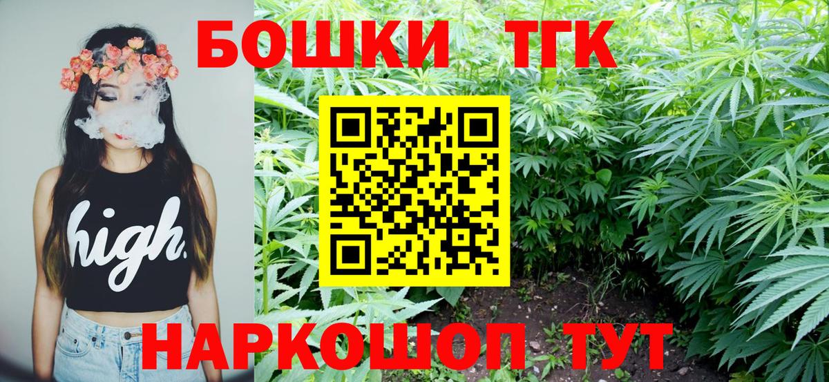 Бошки Шишки планчик Елец